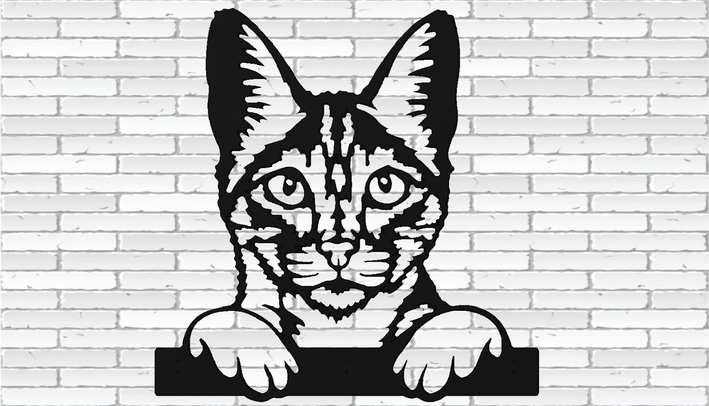 Peaking Cat Leash/key Holder